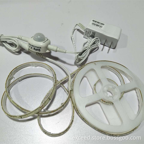 Double Intelligent Sensor LED Bed Light